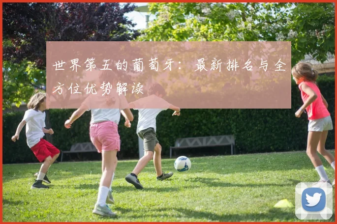 世界第五的葡萄牙:最新排名与全方位优势解读