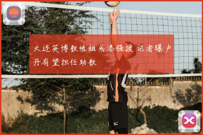 大连英博教练组或添强援 记者曝卢丹有望担任助教
